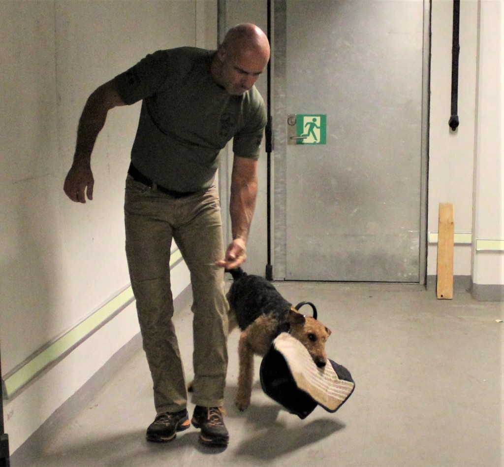 Alt handler om å vinne ‘armen’… Her ChaBlis og Armin Winkler.